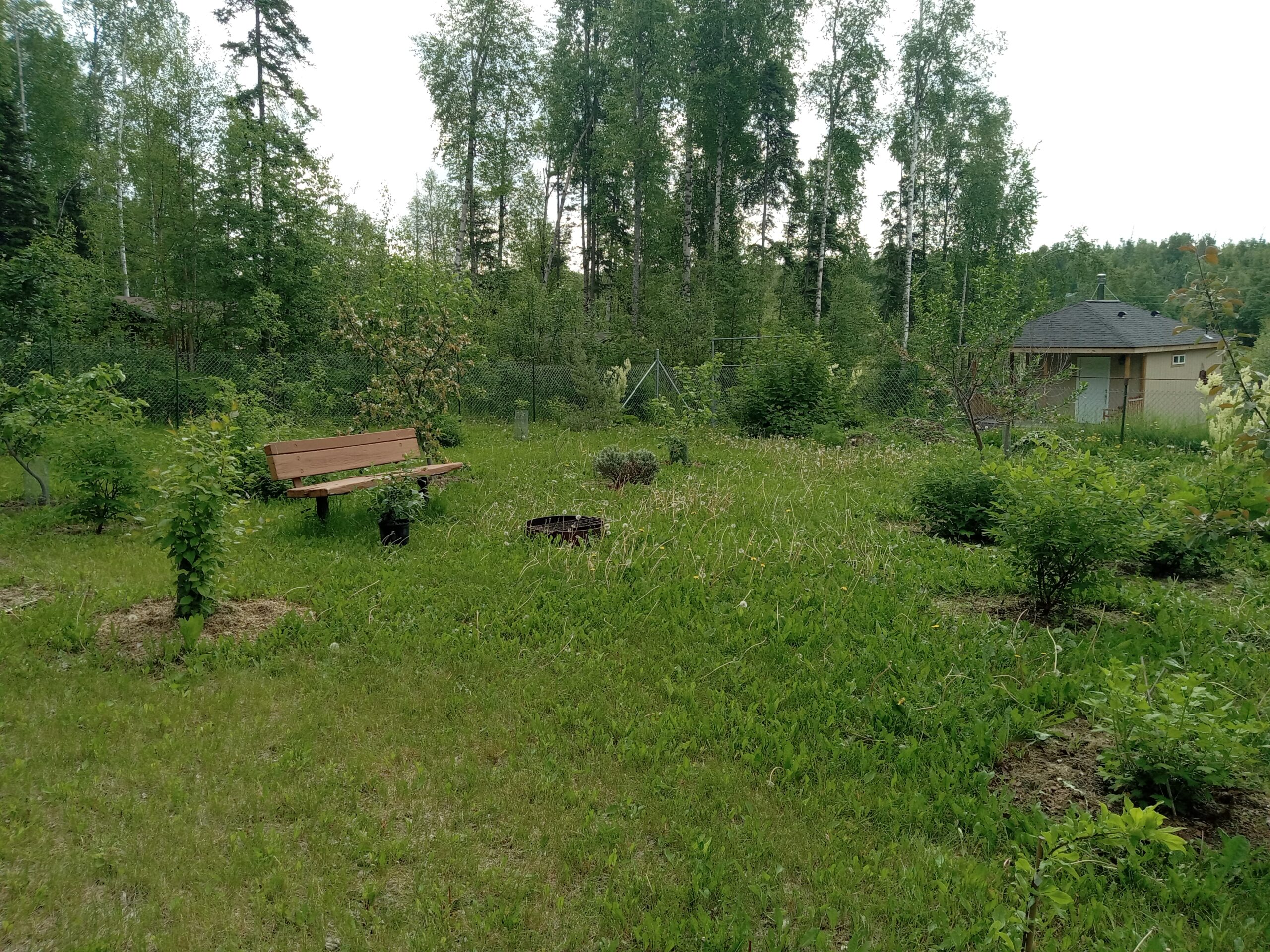 Food Forest